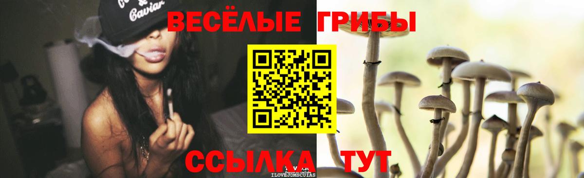 Галлюциногенные грибы Psilocybe  Вход с VPN  Шебекино  Псилоцибиновые грибы прущие грибы 